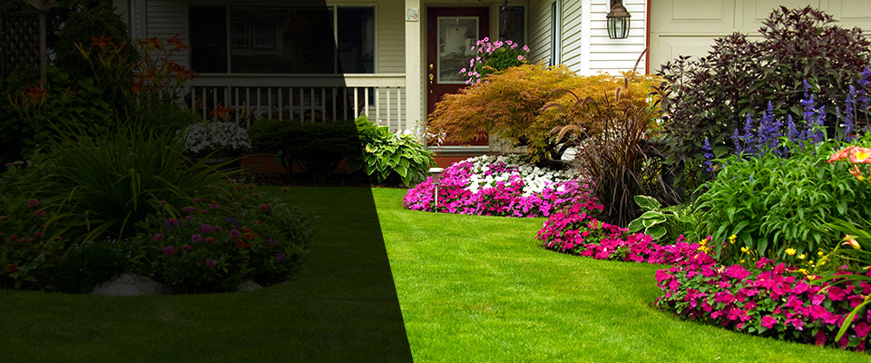 Miramar Beach Landscapers