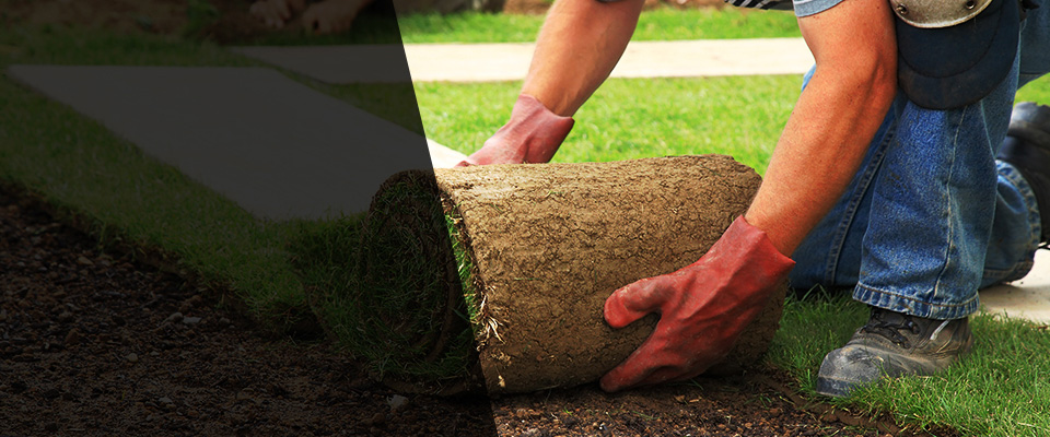 Miramar Beach Landscapers